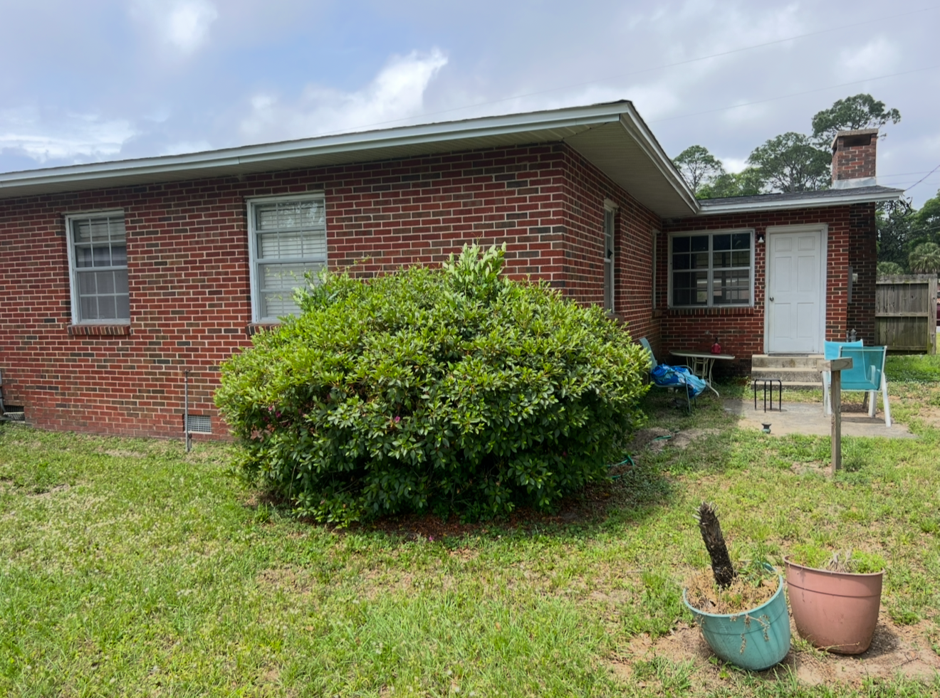 Hedge work before and after view